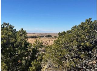 Lot 2446 Zuni Road, Fort Garland, CO 81133