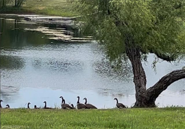 14976 150th Street, Bonner Springs, KS 66012