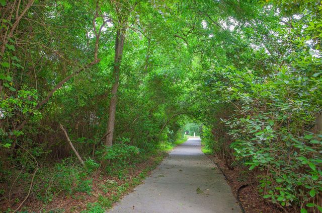 6 Robin Springs Place, The Woodlands, TX 77381