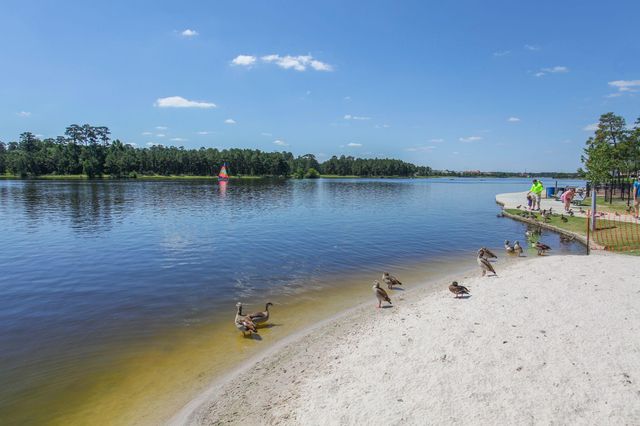 6 Robin Springs Place, The Woodlands, TX 77381