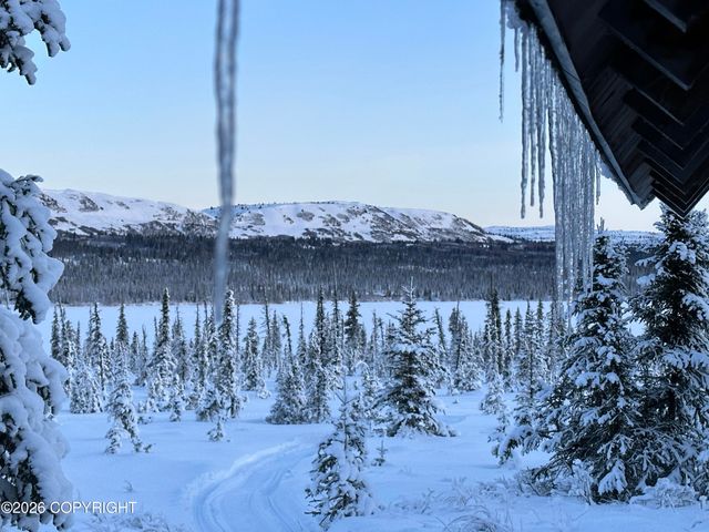 0 Caribou Lake, Homer, AK 99603
