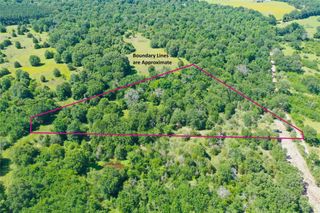 Tract 10 Fcr 295, Oakwood, TX 75855