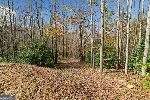 LOT 7 Highpoint Ridge Road 7, Ellijay, GA 30536