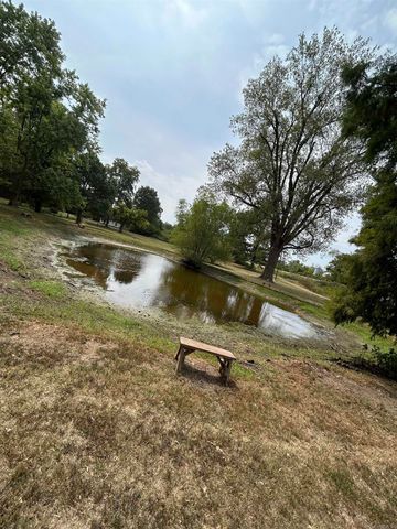 140 S Boykin, Piggott, AR 72454