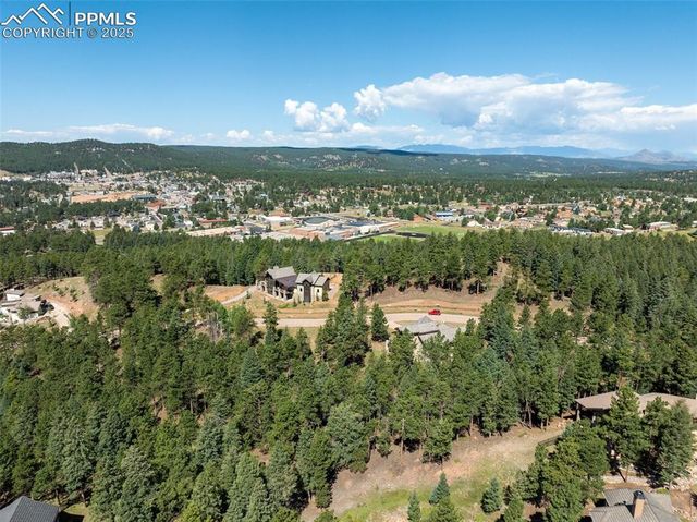 311 Thunder Ridge Drive, Woodland Park, CO 80863