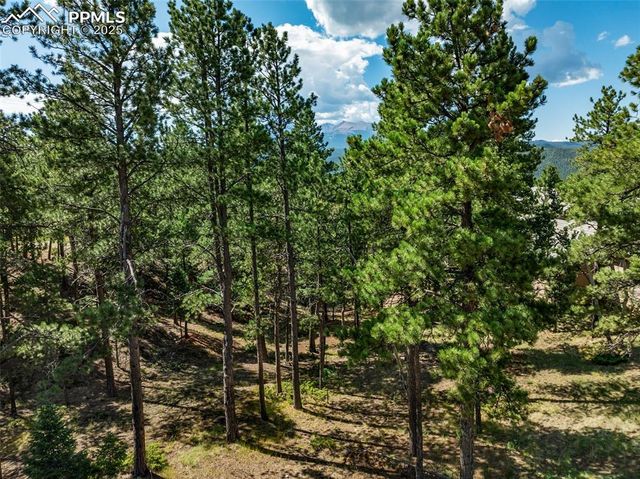 311 Thunder Ridge Drive, Woodland Park, CO 80863