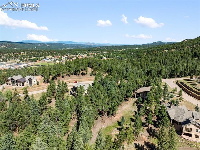 311 Thunder Ridge Drive, Woodland Park, CO 80863