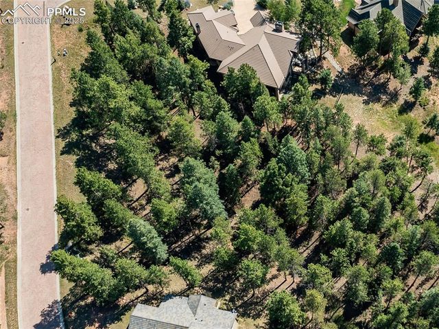311 Thunder Ridge Drive, Woodland Park, CO 80863