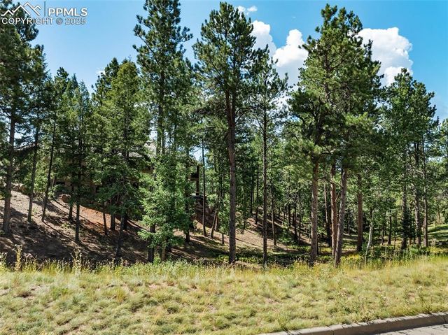 311 Thunder Ridge Drive, Woodland Park, CO 80863