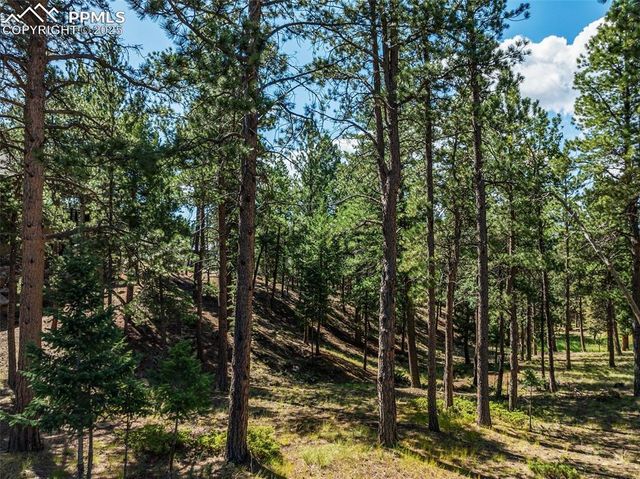 311 Thunder Ridge Drive, Woodland Park, CO 80863