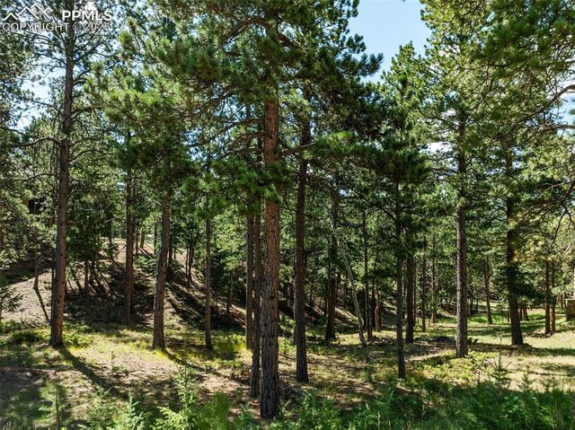 311 Thunder Ridge Drive, Woodland Park, CO 80863