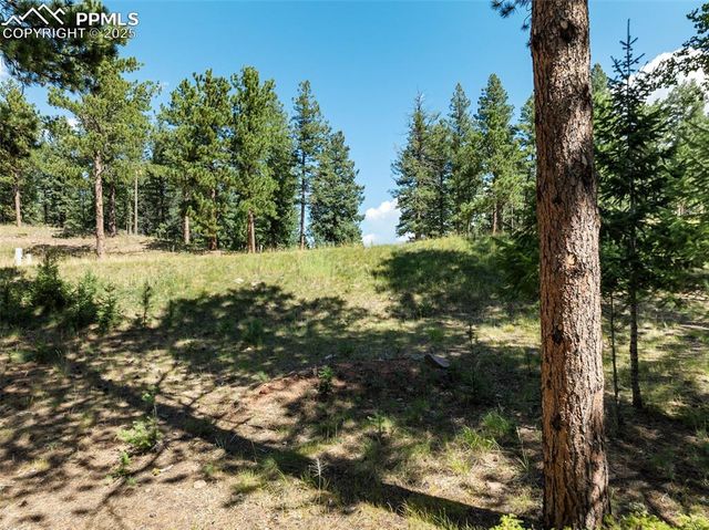311 Thunder Ridge Drive, Woodland Park, CO 80863