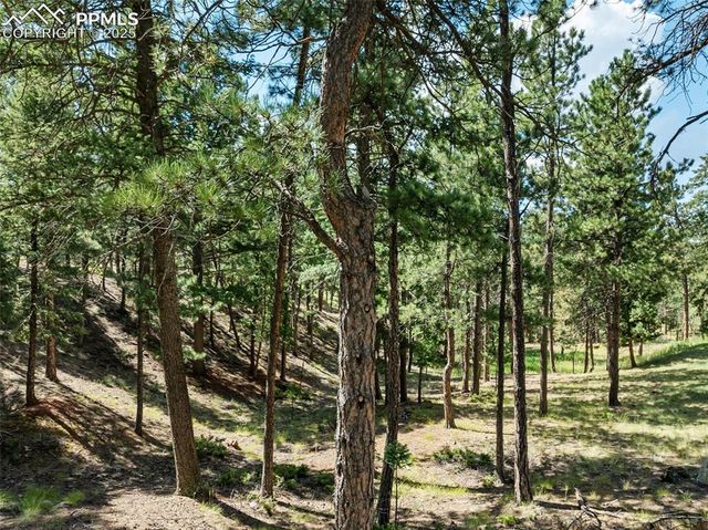 311 Thunder Ridge Drive, Woodland Park, CO 80863