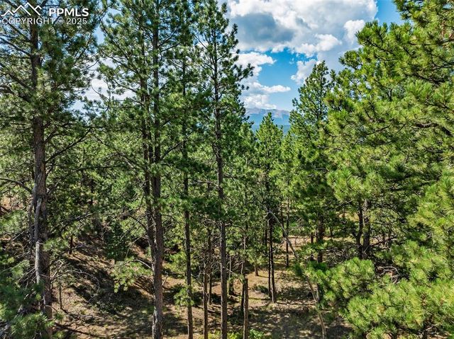 311 Thunder Ridge Drive, Woodland Park, CO 80863