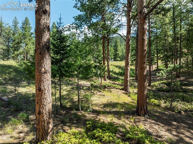 311 Thunder Ridge Drive, Woodland Park, CO 80863