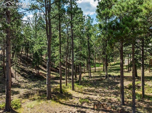 311 Thunder Ridge Drive, Woodland Park, CO 80863