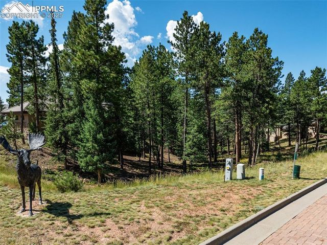 311 Thunder Ridge Drive, Woodland Park, CO 80863