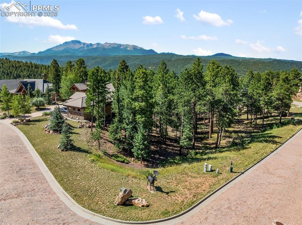 311 Thunder Ridge Drive, Woodland Park, CO 80863