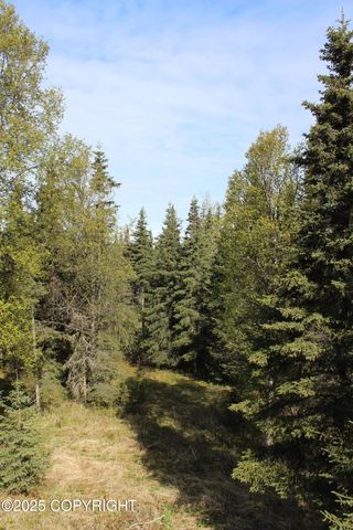 63760 Elizabeth Avenue, Ninilchik, AK 99639