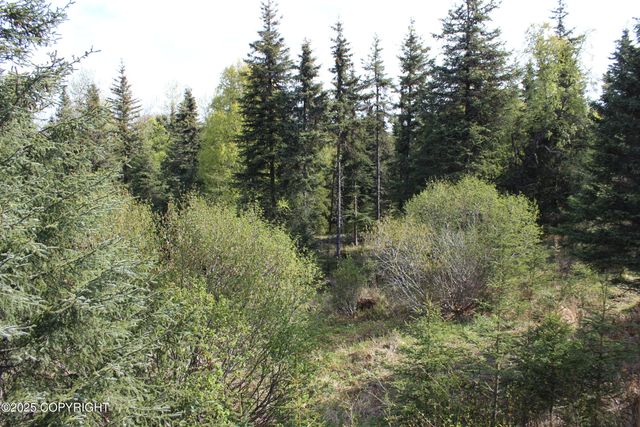 63760 Elizabeth Avenue, Ninilchik, AK 99639