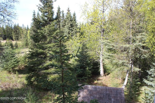 63760 Elizabeth Avenue, Ninilchik, AK 99639