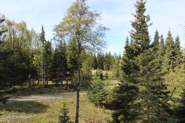 63760 Elizabeth Avenue, Ninilchik, AK 99639