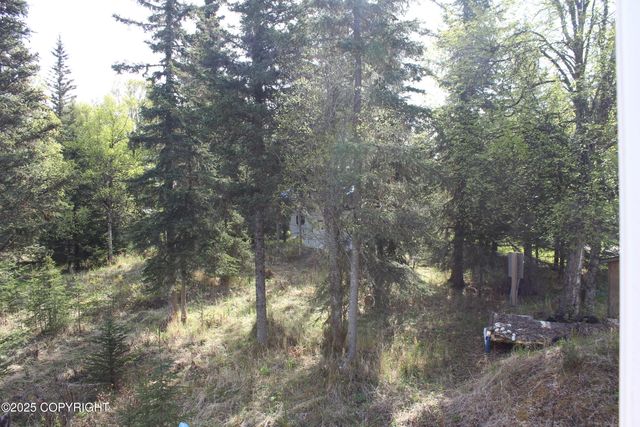 63760 Elizabeth Avenue, Ninilchik, AK 99639