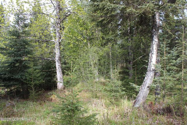 63760 Elizabeth Avenue, Ninilchik, AK 99639