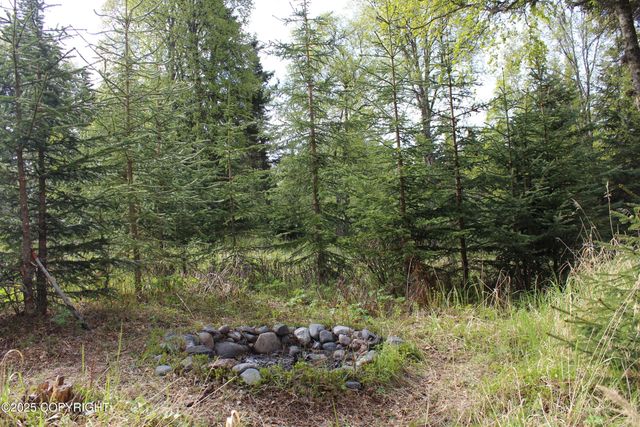 63760 Elizabeth Avenue, Ninilchik, AK 99639