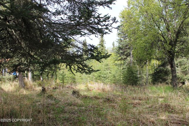 63760 Elizabeth Avenue, Ninilchik, AK 99639