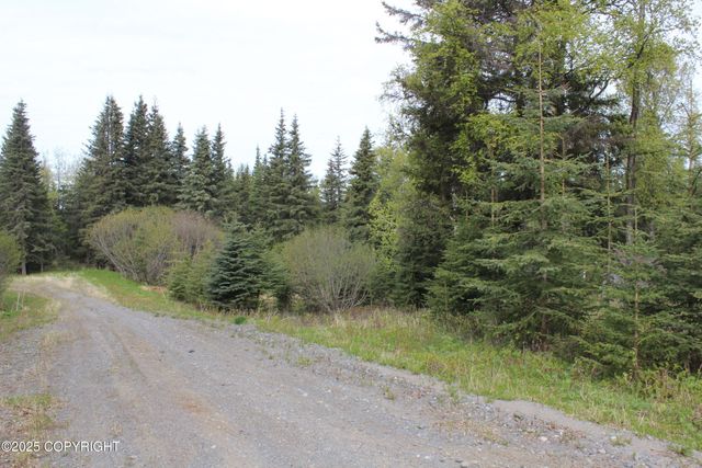 63760 Elizabeth Avenue, Ninilchik, AK 99639