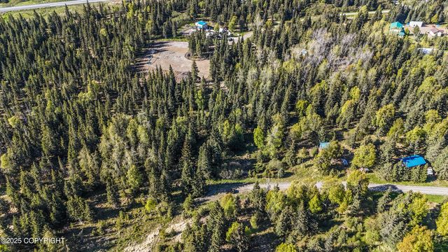 63760 Elizabeth Avenue, Ninilchik, AK 99639