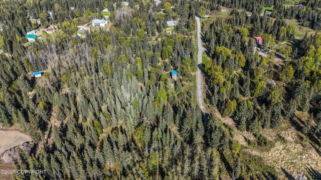 63760 Elizabeth Avenue, Ninilchik, AK 99639