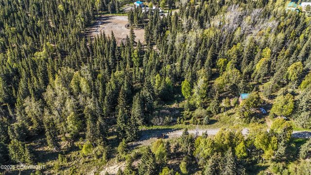 63760 Elizabeth Avenue, Ninilchik, AK 99639