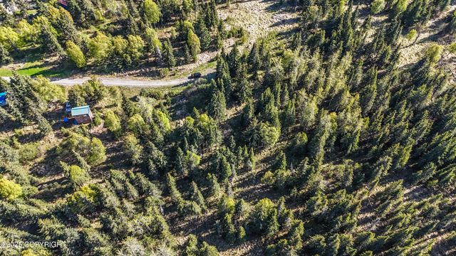 63760 Elizabeth Avenue, Ninilchik, AK 99639