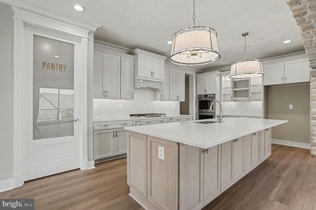 320 SUNNYS HALO DR, Havre De Grace, MD 21078
