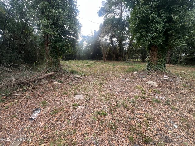 1012 Evergreen Avenue, Goldsboro, NC 27530