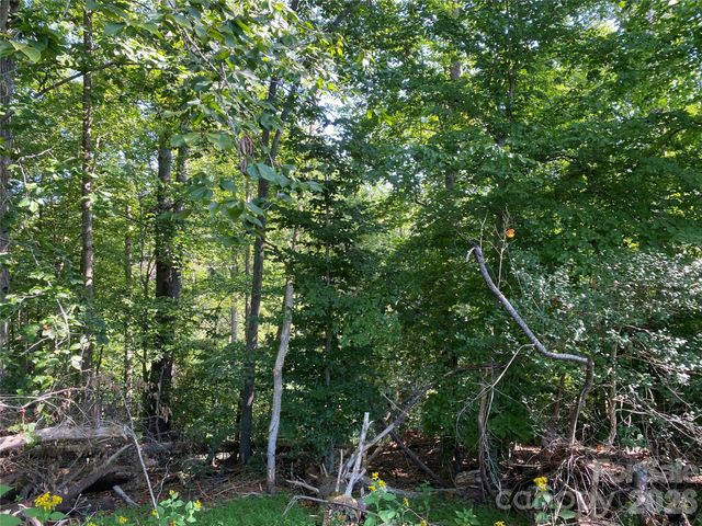 615 Vine Arden Road, Morganton, NC 28655