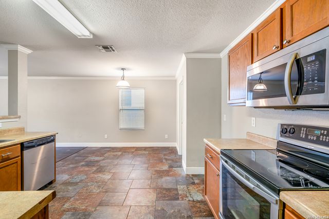 24710 Hickory Meadows, San Antonio, TX 78261