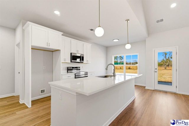 278 Lexyryan Ct, Latta, SC 29565