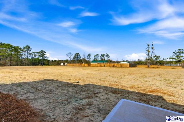 278 Lexyryan Ct, Latta, SC 29565