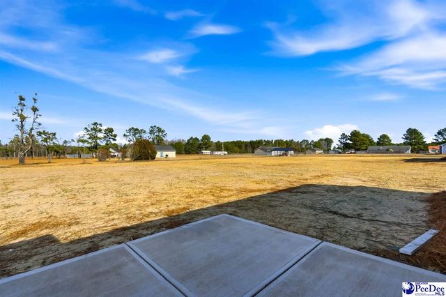 278 Lexyryan Ct, Latta, SC 29565