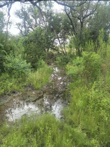 119 Delorean CIR, Burnet, TX 78611