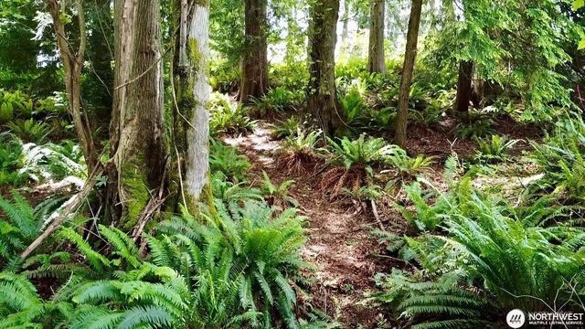 0 XXX E Tala Shore Drive, Port Ludlow, WA 98584