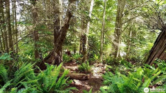 0 XXX E Tala Shore Drive, Port Ludlow, WA 98584