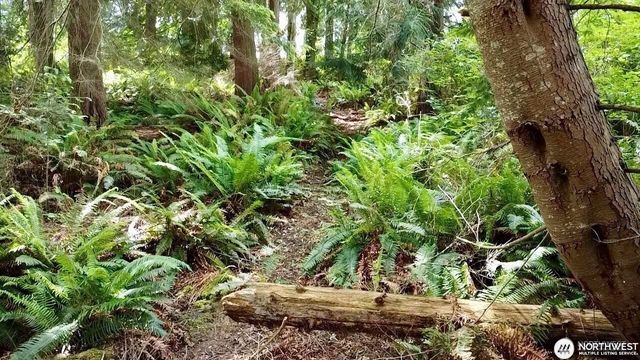 0 XXX E Tala Shore Drive, Port Ludlow, WA 98584