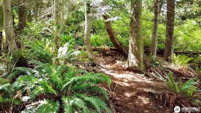 0 XXX E Tala Shore Drive, Port Ludlow, WA 98584