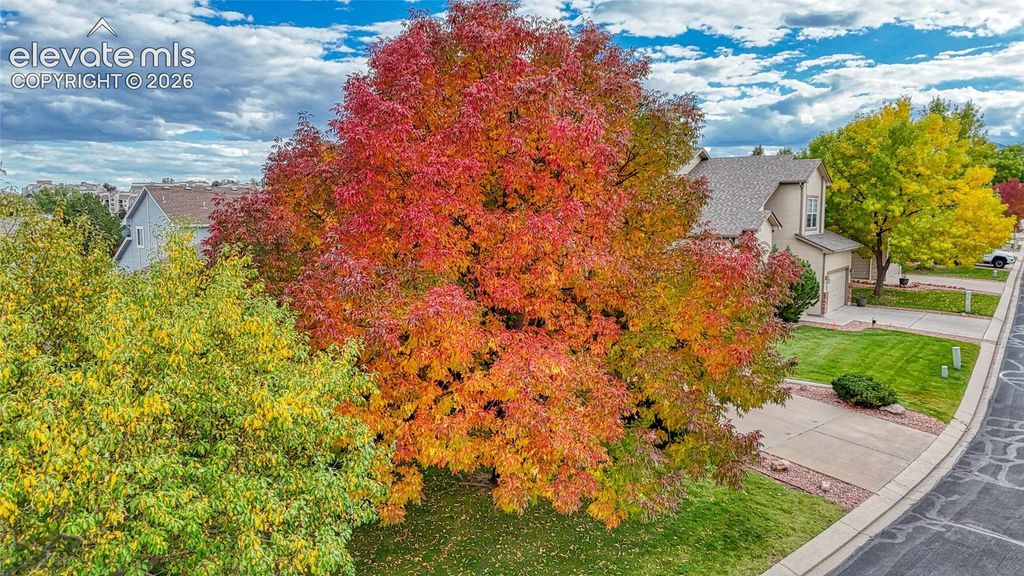 6155 Perfect View, Colorado Springs, CO 80919 — photo 4