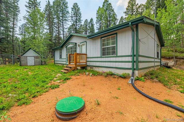 22 Silver Trail, Florissant, CO 80816