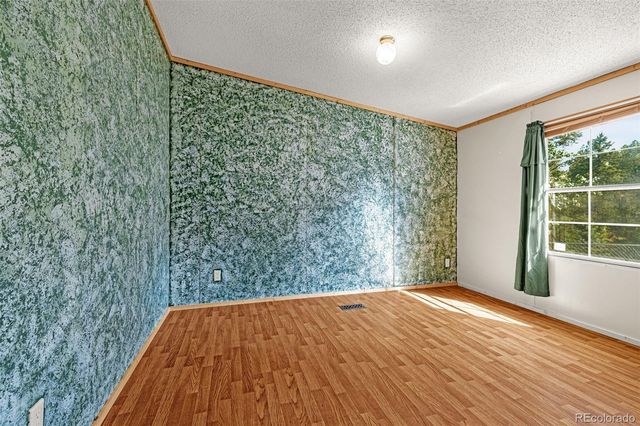 22 Silver Trail, Florissant, CO 80816